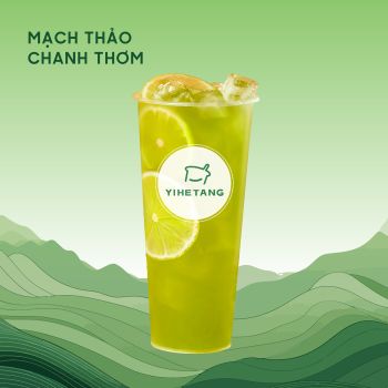 Mạch Thảo Chanh Thơm